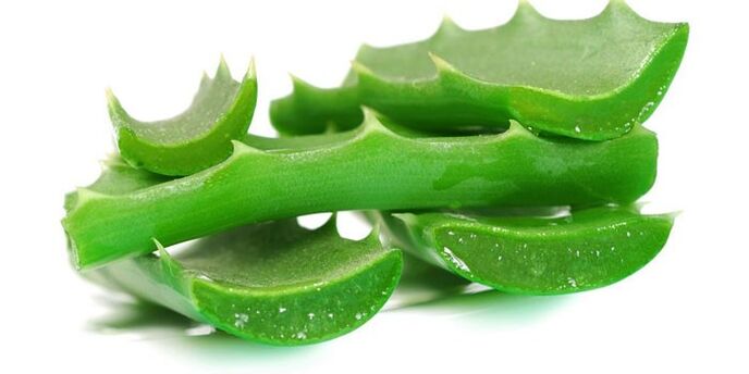 Aloe para o tratamento do fungo das unhas